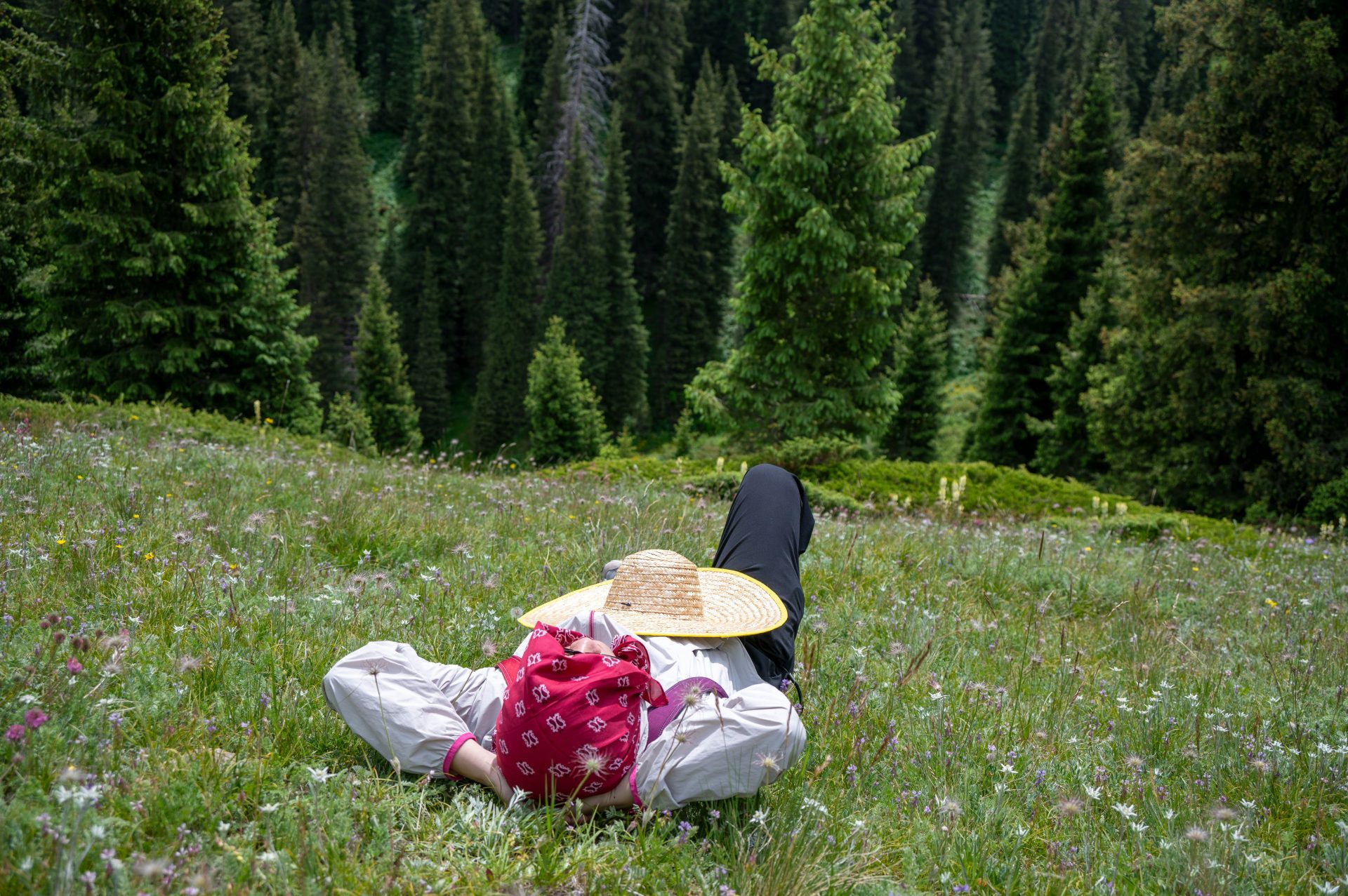 Someone enjoys a peaceful nap in a flowery meadow.